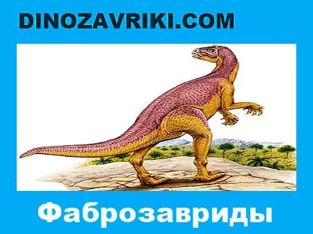 Открытки